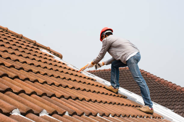 Best Emergency Roof Repair Services  in Antelope, CA